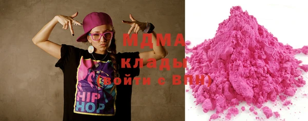шишки Долгопрудный