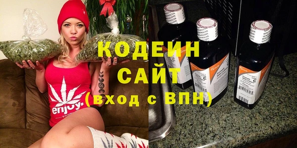 шишки Долгопрудный