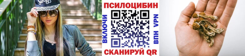 Галлюциногенные грибы прущие грибы  Сольцы 