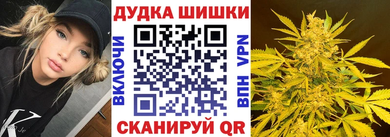 Конопля гибрид Сольцы